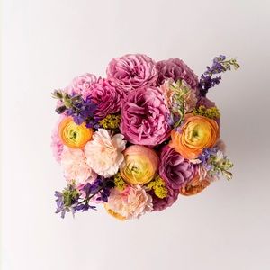 Meet your Posher, Madison